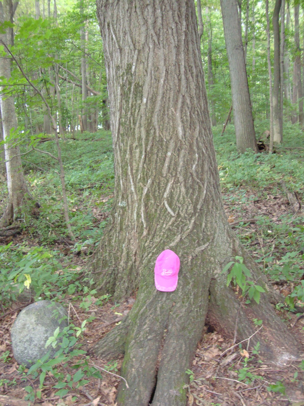 Property photo 22 - 160 Acres Offered in 6 Tracts